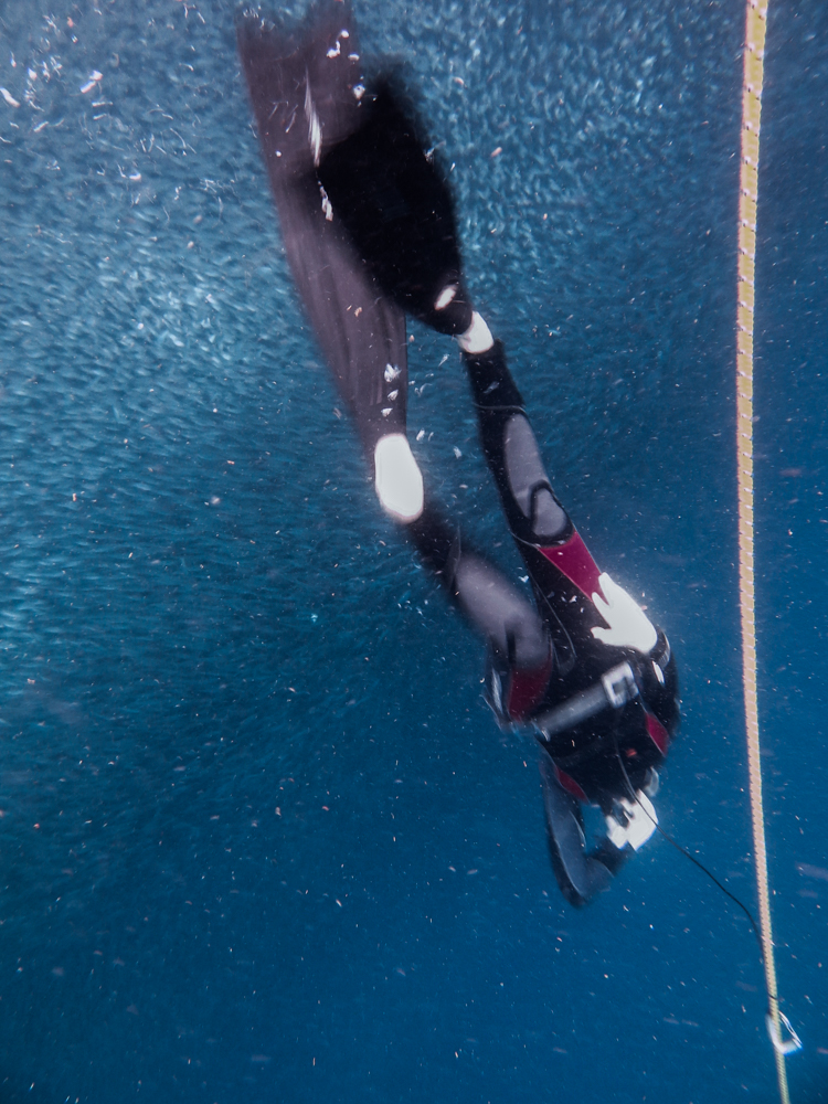 AIDA 2 freediving course — into the ocean