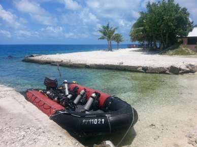 The dive sites are just five minutes away, so a small speedboat suffices